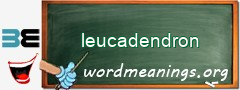 WordMeaning blackboard for leucadendron